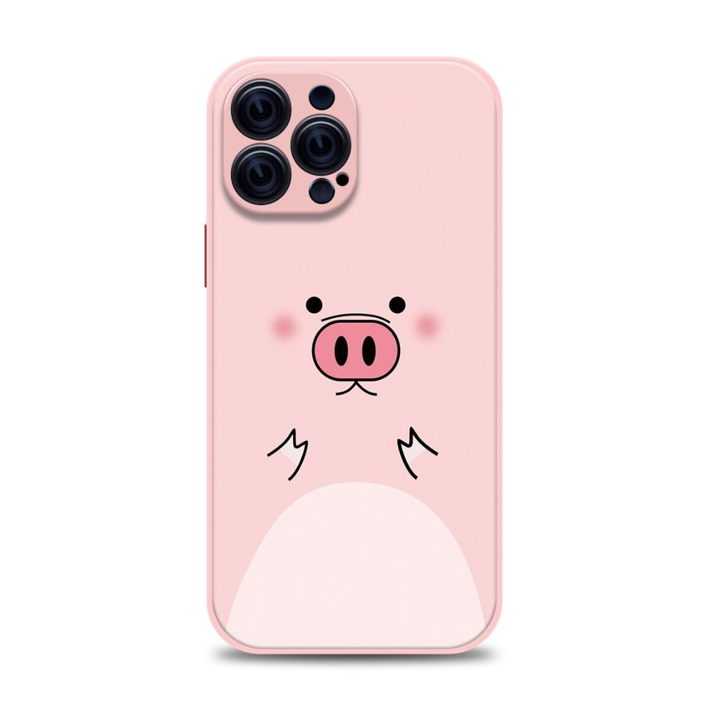 IPhone Case 11 12 13 XS XR IPhone 11 Pro Max 12 Pro Max 13 Pro Max 12Mini 29